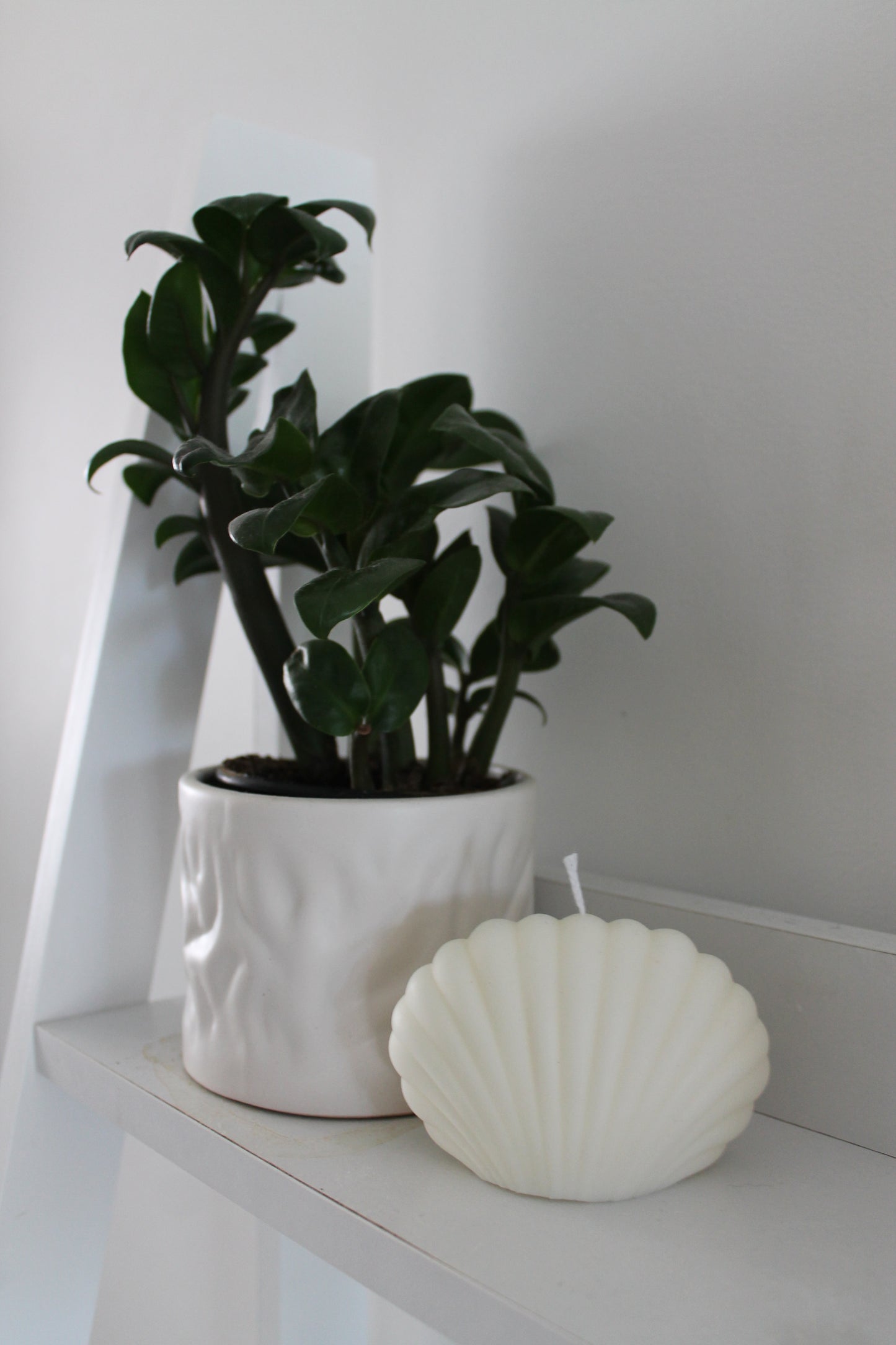 Shell Candle