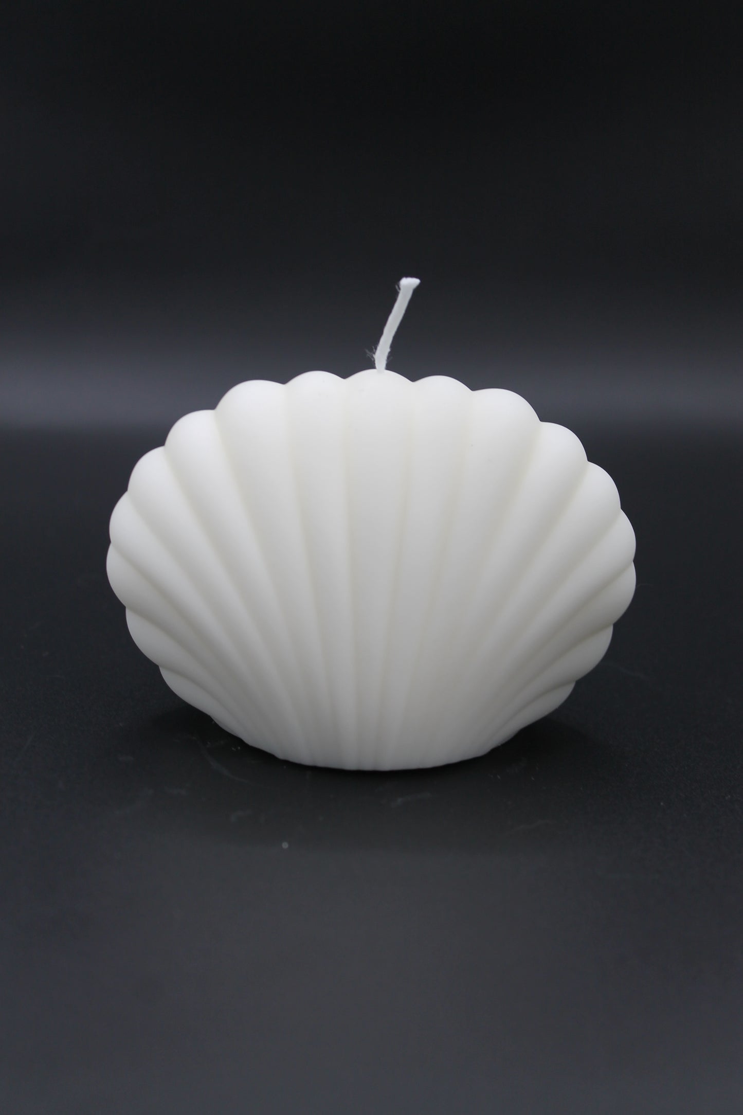 Shell Candle