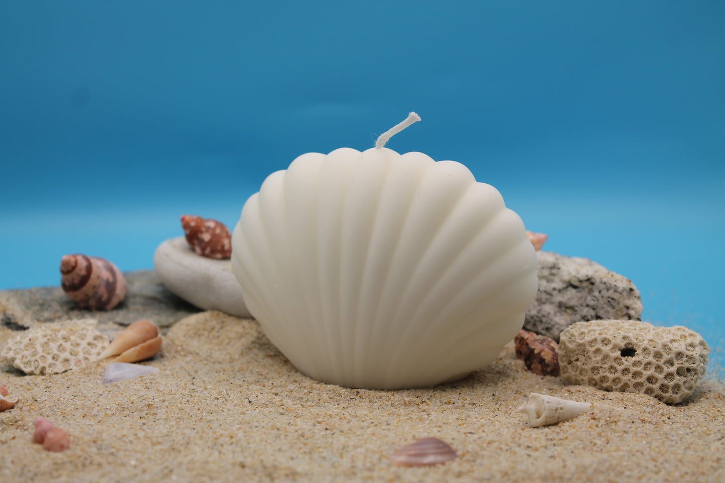 Shell Candle