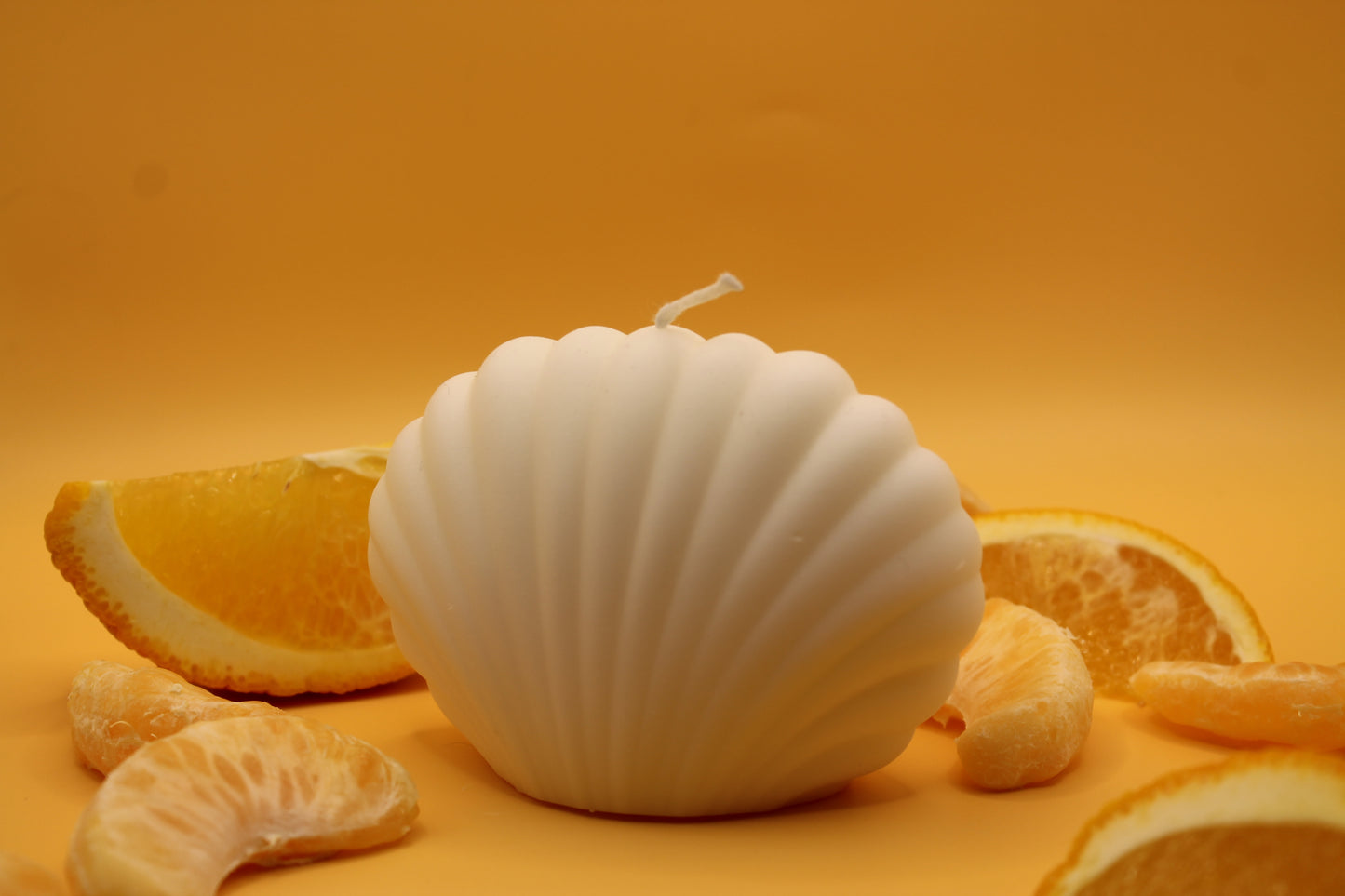 Shell Candle