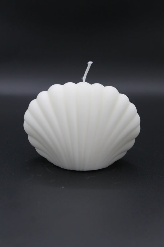 Shell Candle